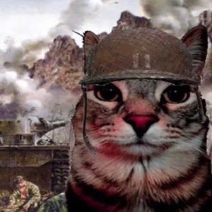 Meet your Posher, Eitan